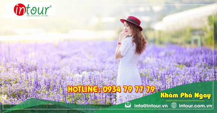 Tour Du Lịch Châu Đốc - Nha Trang - Đà Lạt 4 Ngày 4 Đêm Năm 2025