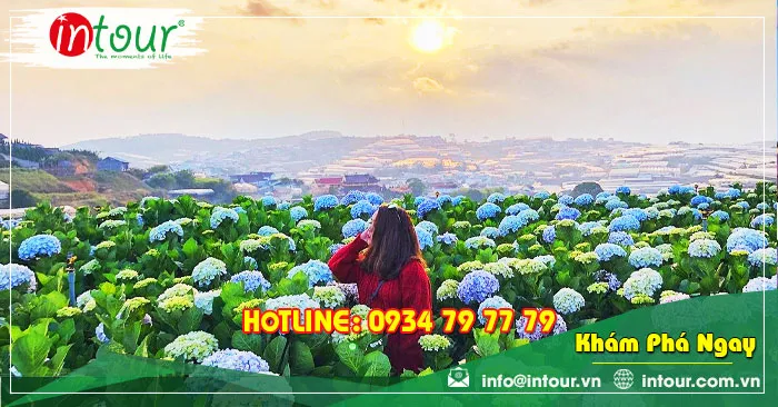 Tour Du Lịch Team Building Bình Phước đi Đà Lạt 3 Ngày 3 Đêm Năm 2025