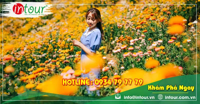 Tour Du Lịch Thanh Hóa - Đà Lạt 3 Ngày 2 Đêm Năm 2025