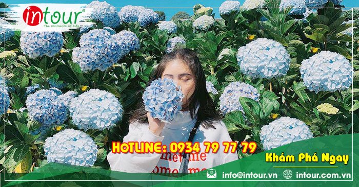 Tour Du Lịch Phan Thiết - Đà Lạt khởi hành tử Bến Tre 4 Ngày 3 Đêm Năm 2025