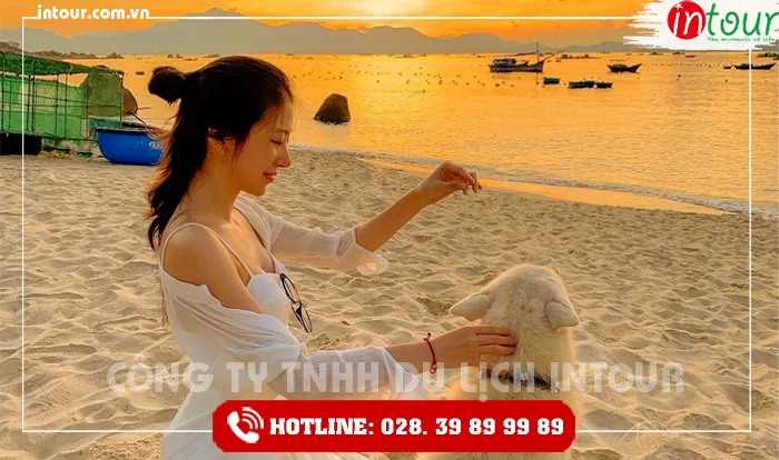Tour Du Lịch Teambuilding - Gala Tây Ninh đi Ninh Chữ - Đảo Bình Hưng 3 Ngày 2 Đêm Năm 2025
