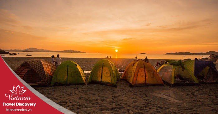 Tour Cắm Trại + BBQ Bãi biển FLC Nhơn Lý Quy Nhơn 1 Đêm 2025