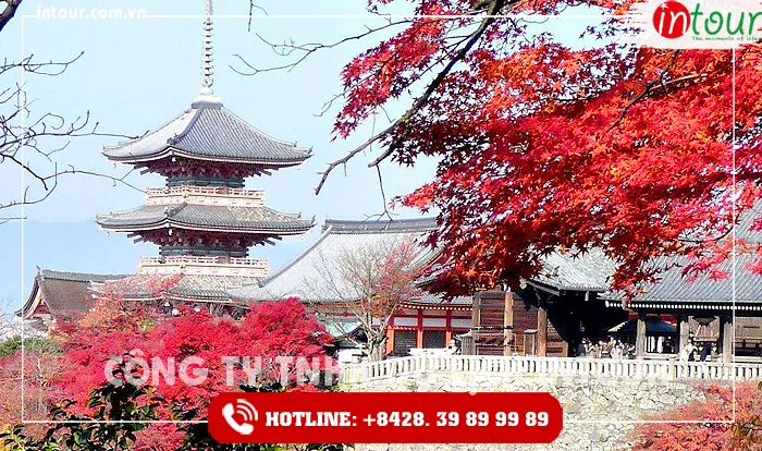 Tour Du Lịch Nhật Bản 7 Ngày 6 Đêm  Tết Nguyên Đán 2026